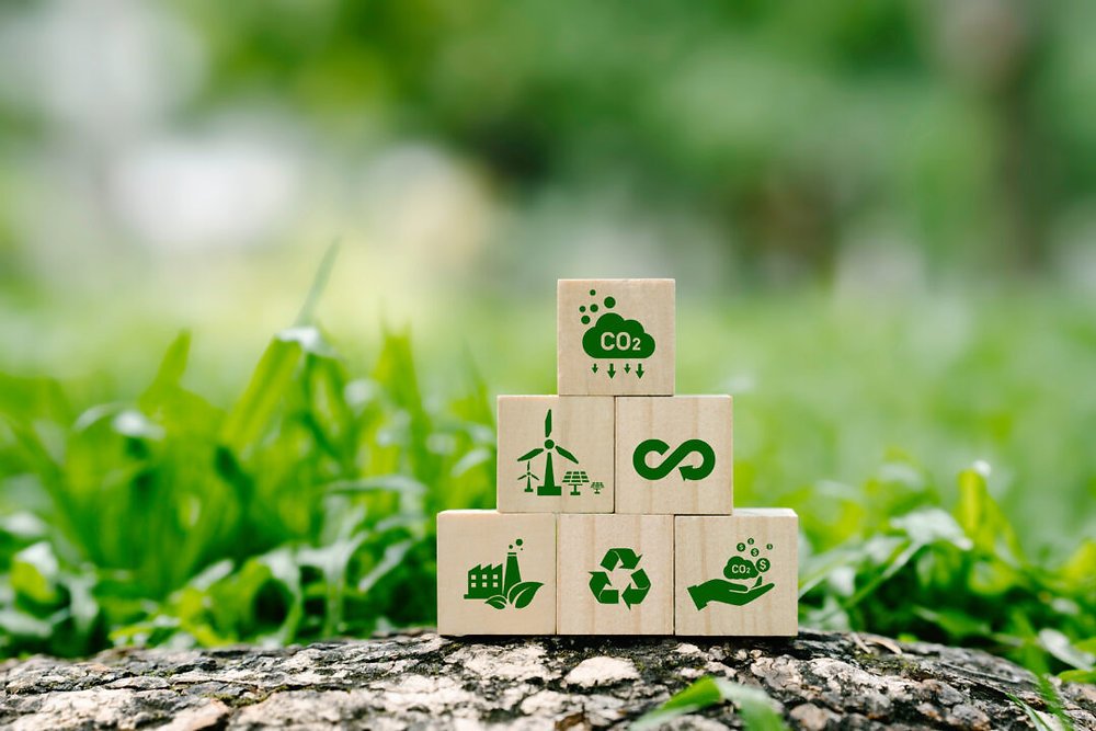 Environmental and Social Impact Assessment (ESIA)
